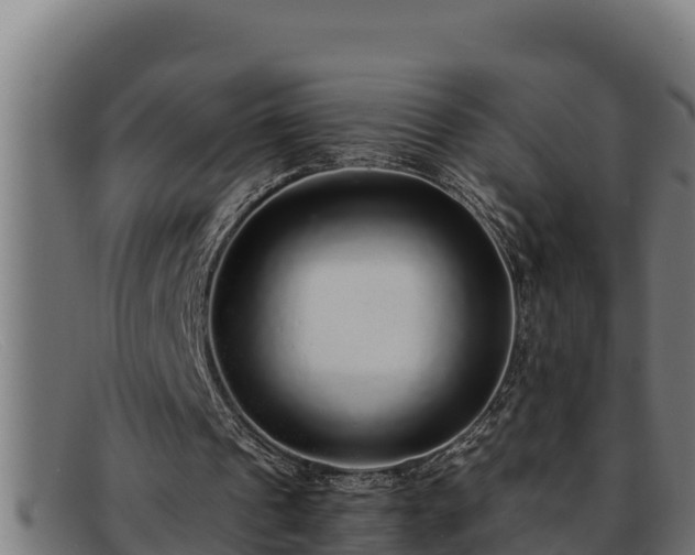 X0000091860241200709121335