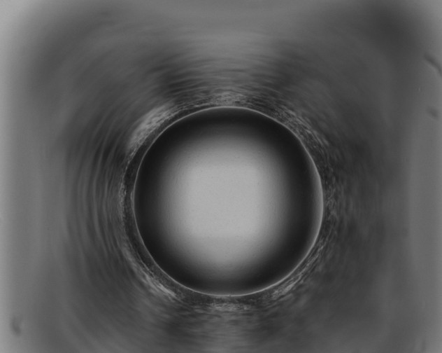 X0000091860242200709121335