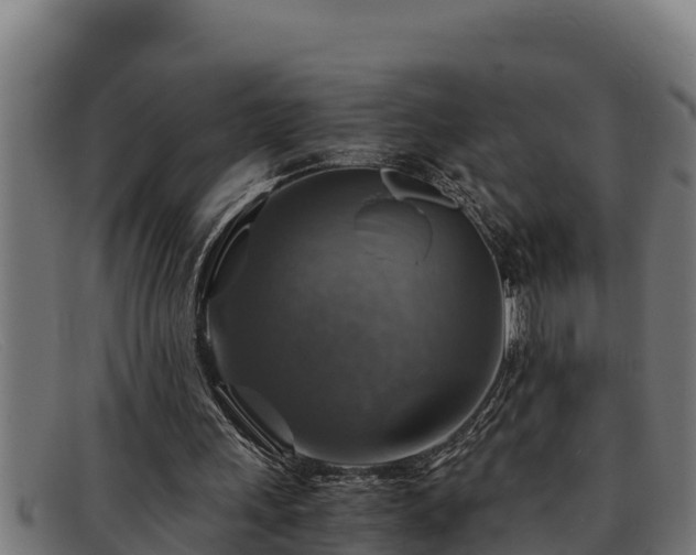 X0000091860243200709121335