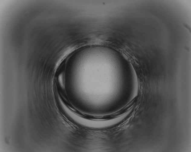 X0000091860244200709121335