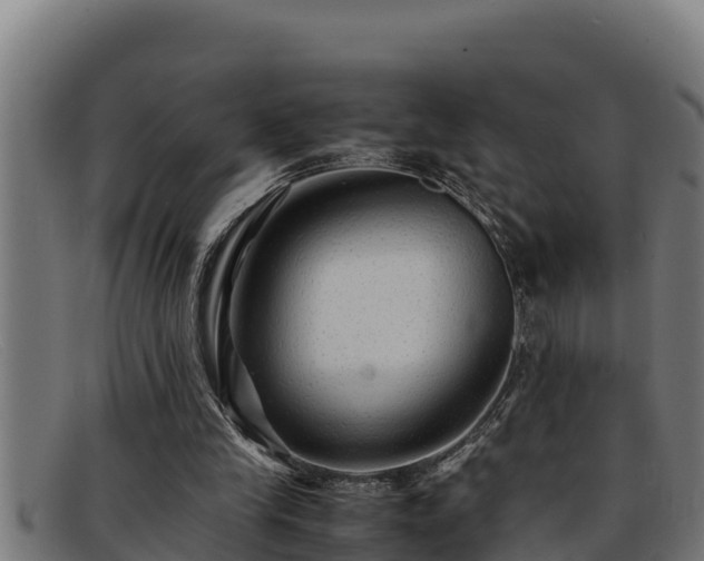 X0000091860245200709121335