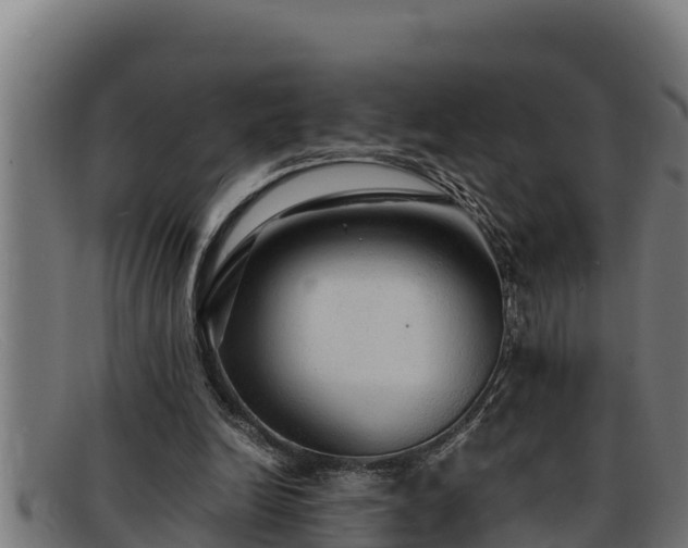 X0000091860246200709121335