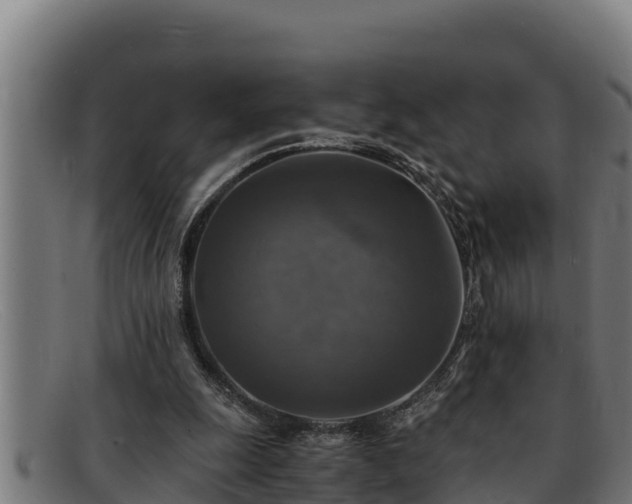 X0000091860247200709121335