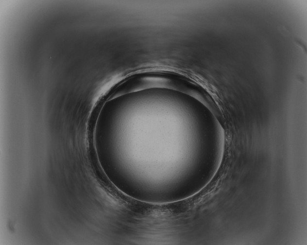 X0000091860248200709121335