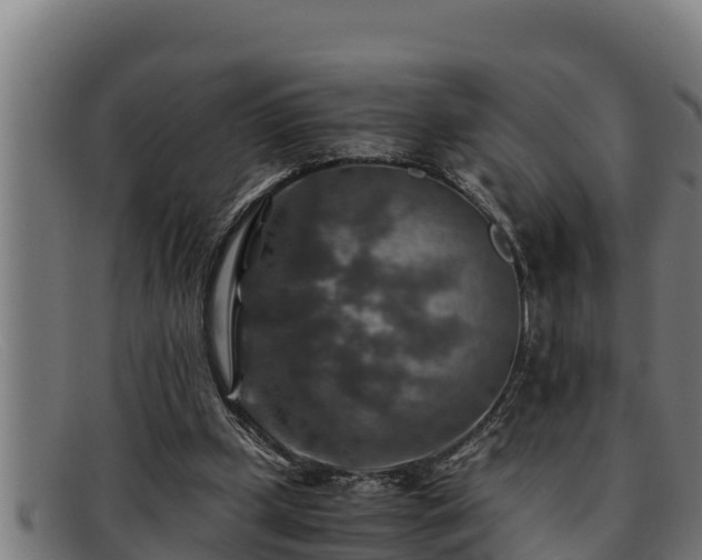 X0000091860249200709121335