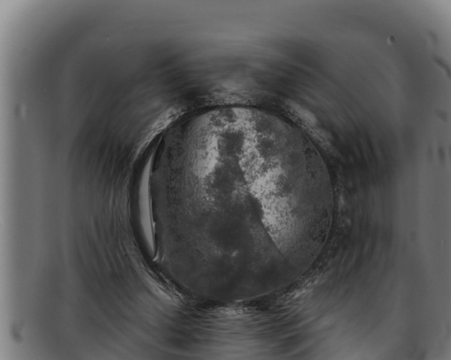 X0000091860250200709121335