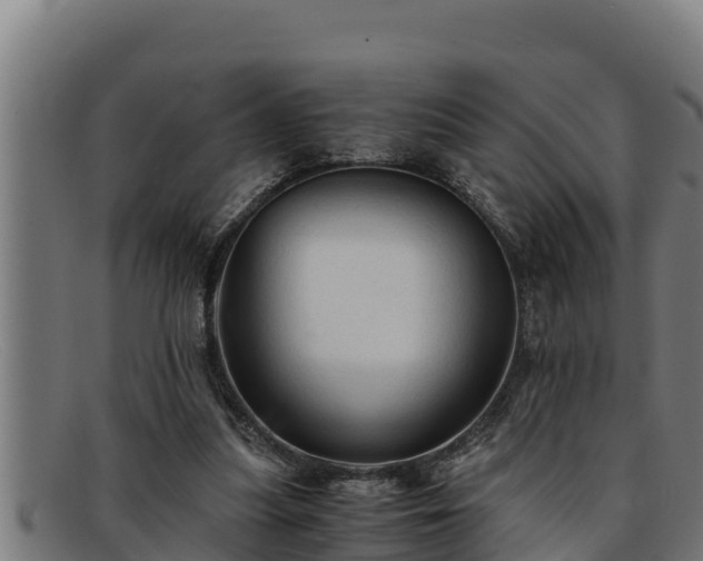 X0000091860251200709121335