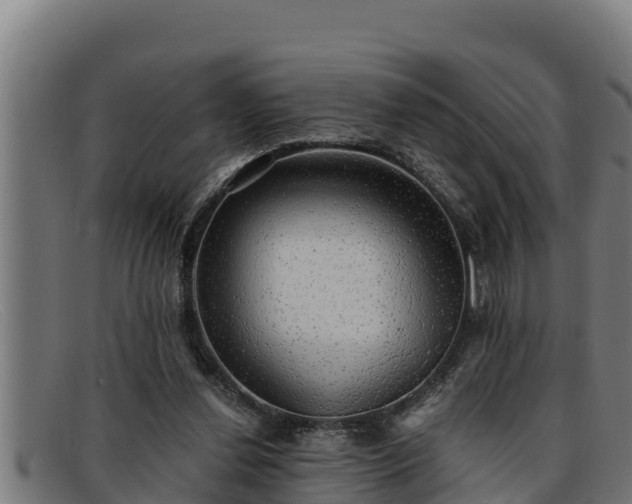 X0000091860252200709121335