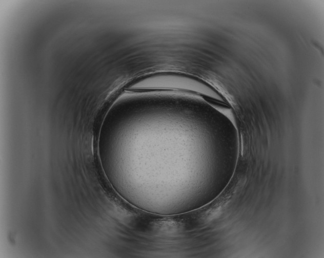 X0000091860253200709121335