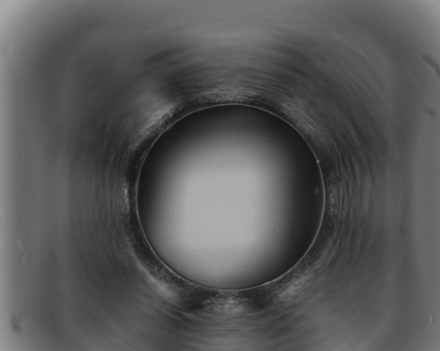 X0000091860254200709121335