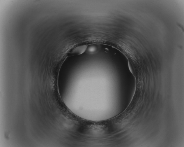 X0000091860255200709121335