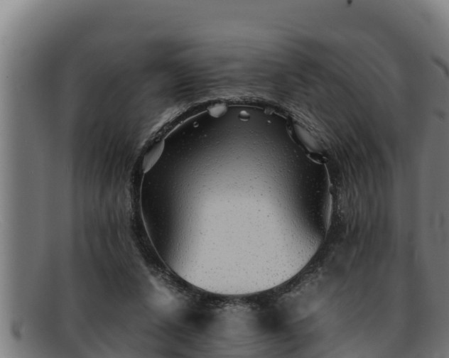 X0000091860256200709121335