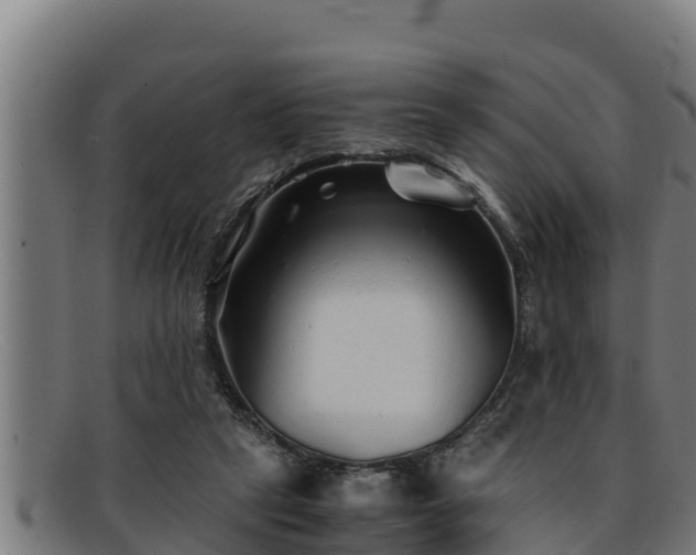 X0000091860257200709121335