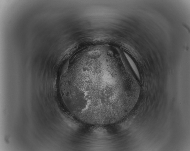 X0000091860258200709121335