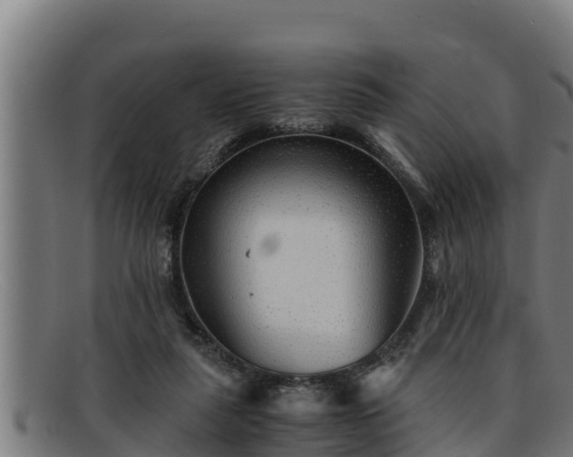 X0000091860259200709121335