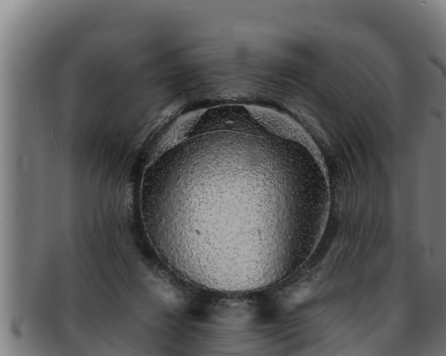 X0000091860260200709121335