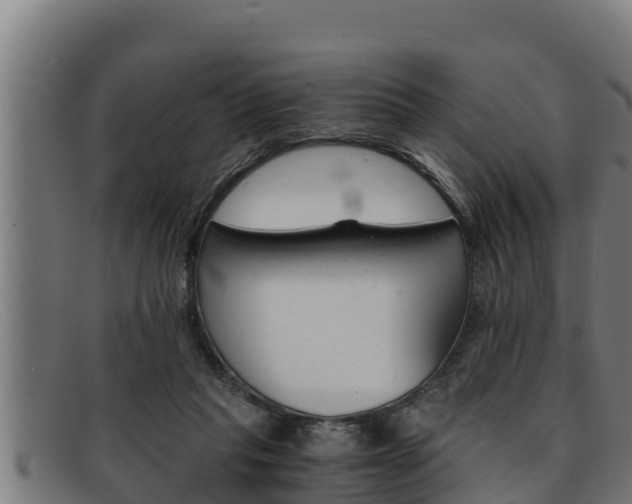 X0000091860261200709121335