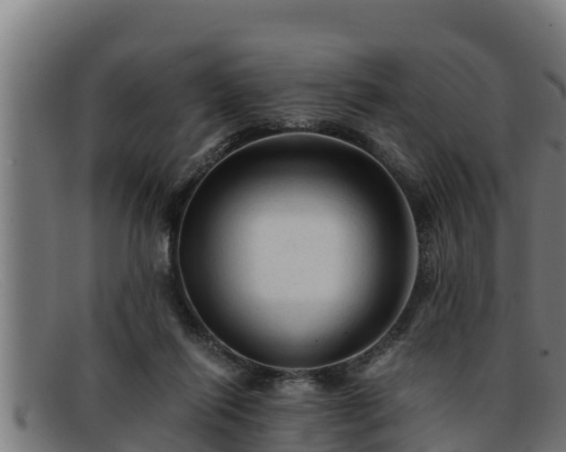 X0000091860262200709121335