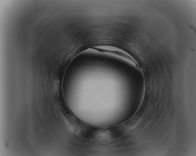 X0000091860263200709121335