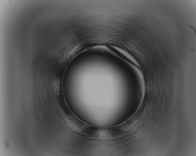 X0000091860264200709121335