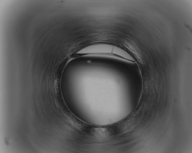 X0000091860265200709121335