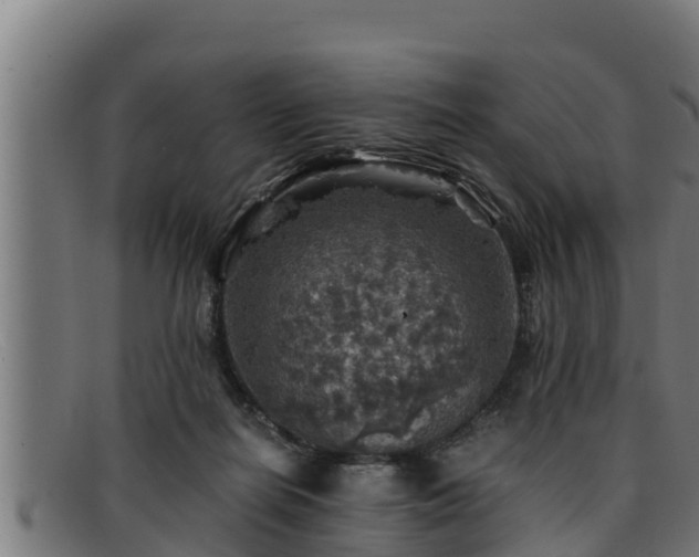 X0000091860266200709121335