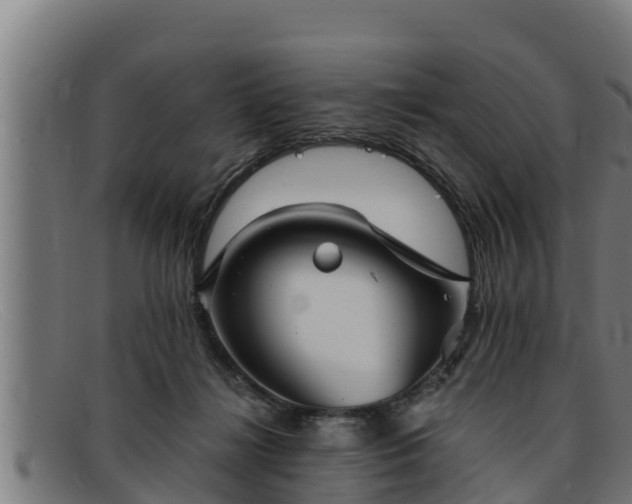 X0000091860268200709121335