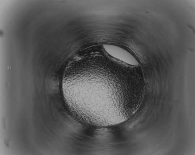 X0000091860269200709121335