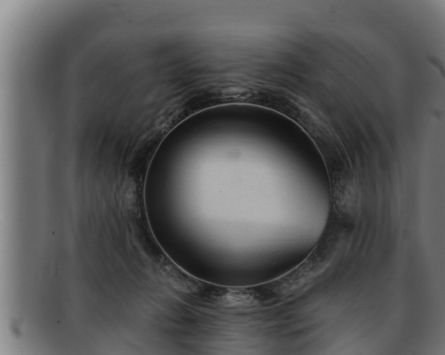 X0000091860270200709121335