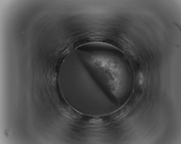 X0000091860271200709121335