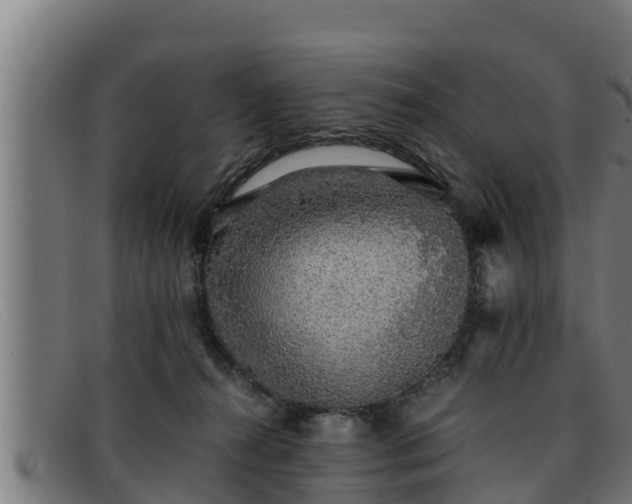 X0000091860272200709121335