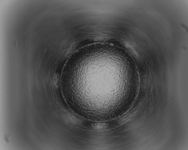 X0000091860273200709121335