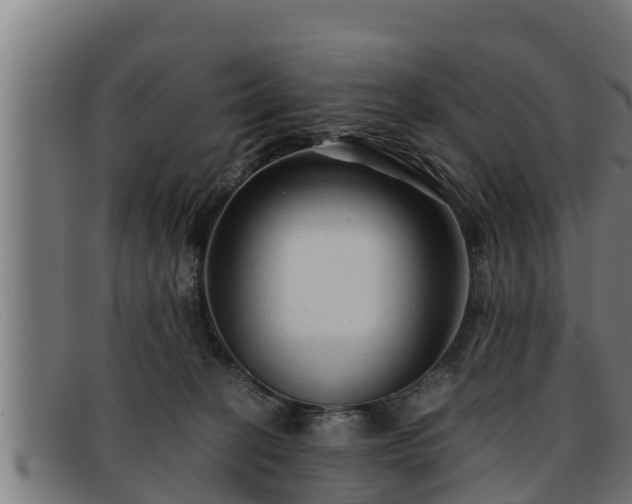 X0000091860274200709121335