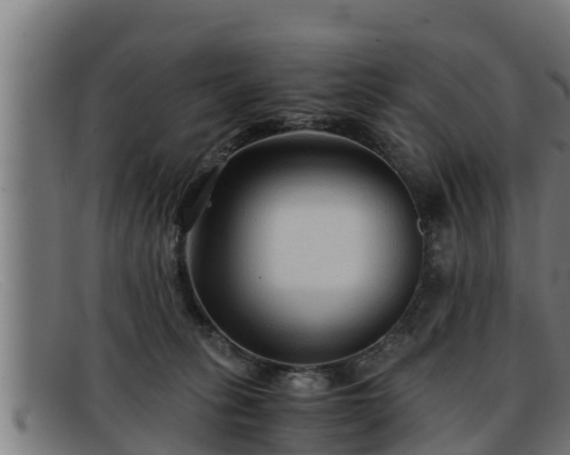 X0000091860275200709121335