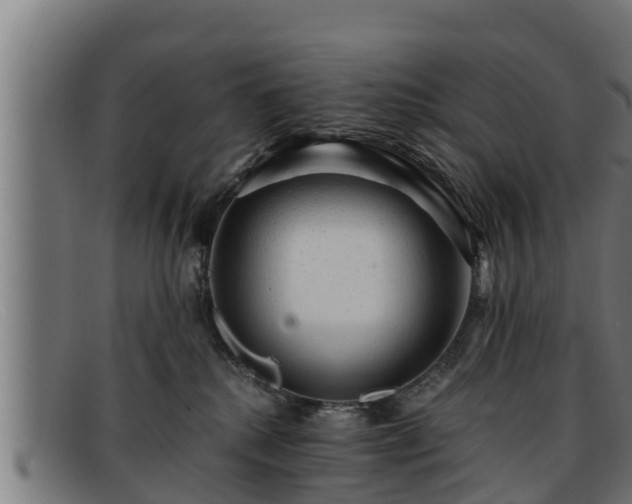 X0000091860280200709121335