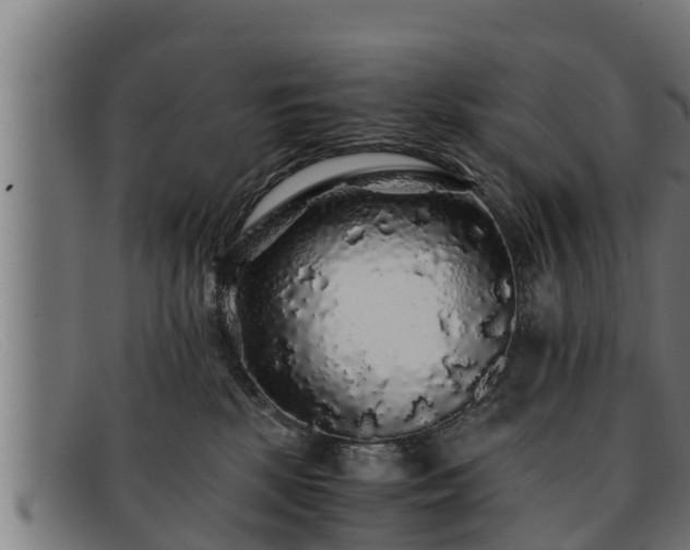 X0000091860281200709121335