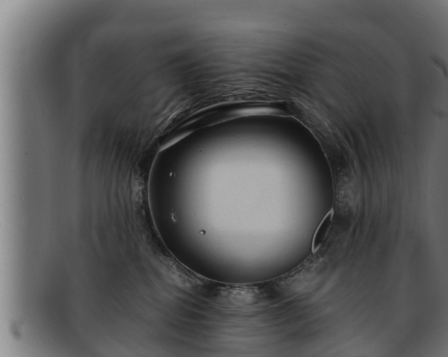 X0000091860282200709121335