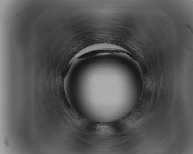 X0000091860283200709121335