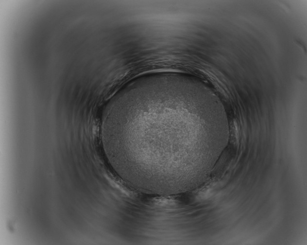 X0000091860284200709121335