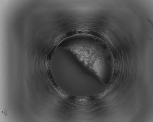 X0000091860285200709121335