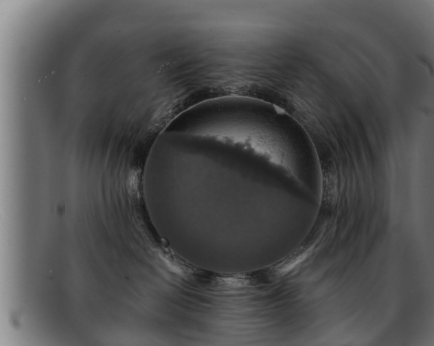 X0000091860286200709121335