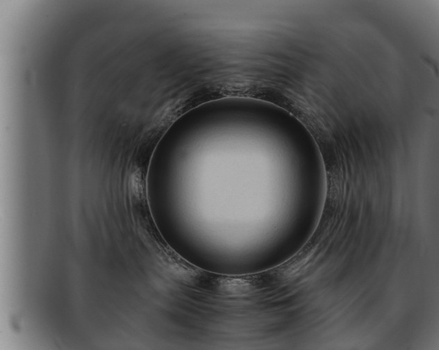 X0000091860287200709121335