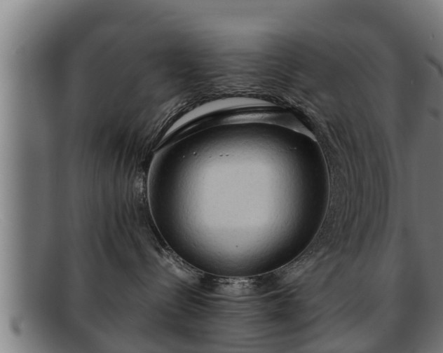 X0000091860288200709121336