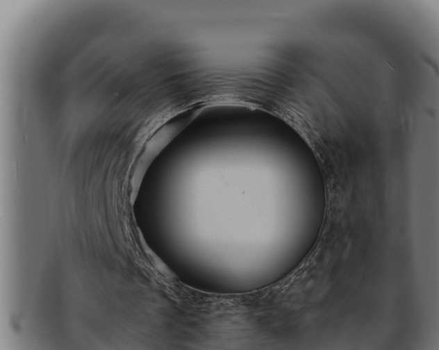 X0000091860289200709121335