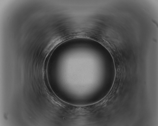 X0000091860290200709121335