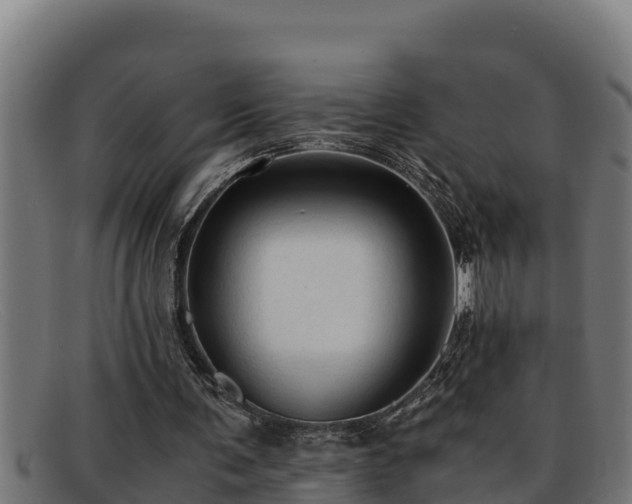 X0000091860291200709121335