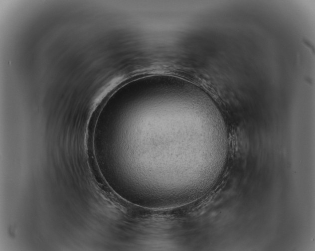 X0000091860292200709121335