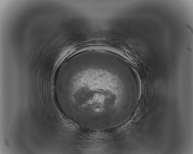 X0000091860293200709121335