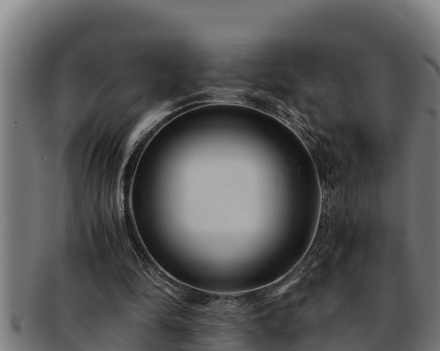 X0000091860294200709121335