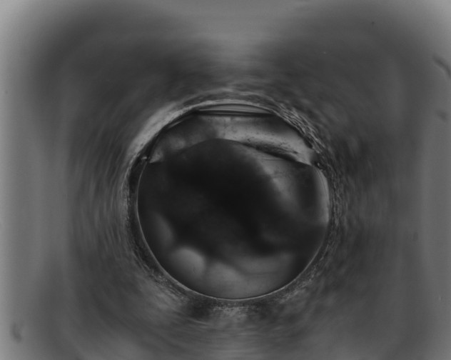 X0000091860295200709121335